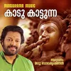 About Kaadu Kaatunna Song